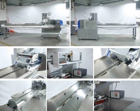 Machine à emballer horizontale entièrement automatique pour sacs, aliments, légumes, glaces, bâtonnets de glace - Haute vitesse, économie d'énergie, multifonction
