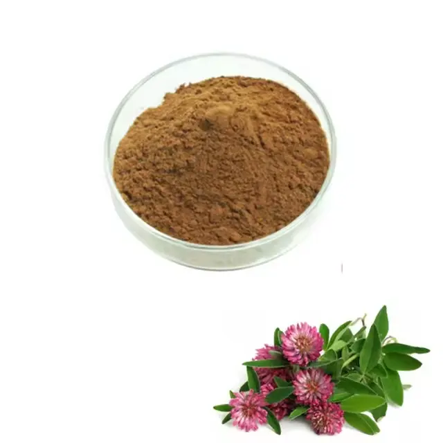 Suministro de fábrica de alta calidad Extracto de trébol rojo orgánico en polvo Flor en polvo grado alimenticio 100% natural