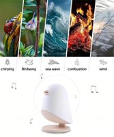TSINYE-Veilleuse de bébé portable pour l'allaitement maternel, lampe rechargeable à bruit blanc pour enfant