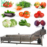 Knoflookbout Kruidnagelreinigingswasmachine Fruit-En Groenteverwerkingsapparatuur Met Kernmotorcomponent