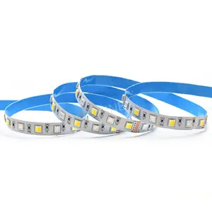 Smart House Hoge Cri Rgbcct Rgbw Rgbww Led Cinta Tape 3000K 6000K Warm Wit Waterdicht Dc 12V 24V Fita Rgb Cct Led Licht Strips