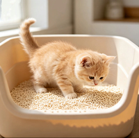 Pabrik Grosir Pasir Kucing Tofu Dapat Dibuang di Toilet  Rendah Debu Cepat Menggumpal Pengontrol Bau Pasir Kucing Tofu Strip Kemasan Khusus  Beraroma