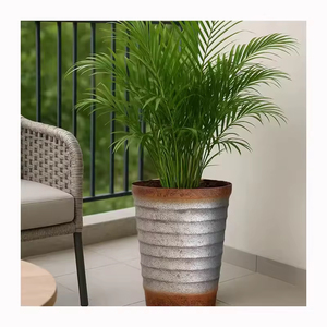 <span class=keywords><strong>Maceta</strong></span> Moderna Ecológica de Plástico para Jardín y Hogar, Circular, Cónica, Cilíndrica - Product Image 1