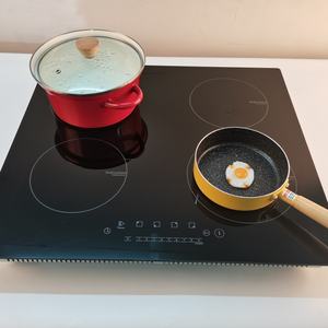 Cocina de Inducción de Cuatro Quemadores con Carcasa Metálica, Alemania - Product Image 2