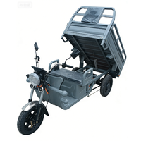 Tricycle Électrique 60V 1000W Personnalisé à 3 Roues pour Adultes, Type Camionnette Benne Basculante, avec Plateforme de Chargement pour Camping et Transport de Marchandises