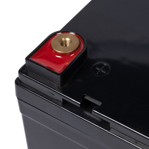 25.6V 11Ah Standard <strong>Battery</strong> CE <strong>Lithium</strong> Ion <strong>Battery</strong> 12v <strong>24v</strong> <strong>10ah</strong> 15ah 20ah 30ah 40ah Replace Acid Lead <strong>Battery</strong> - Product Image 5
