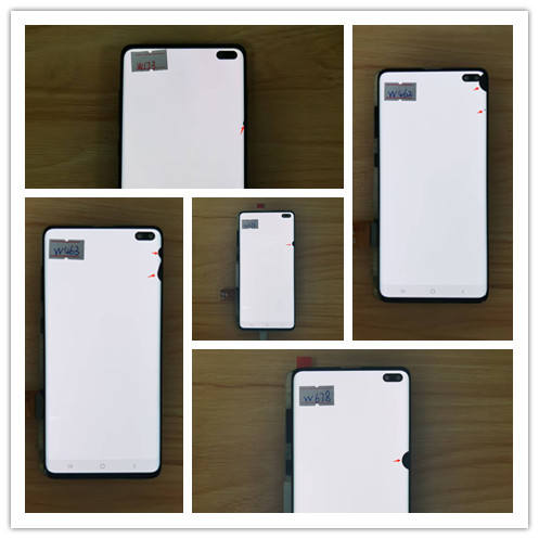 มีจุดสีดำ