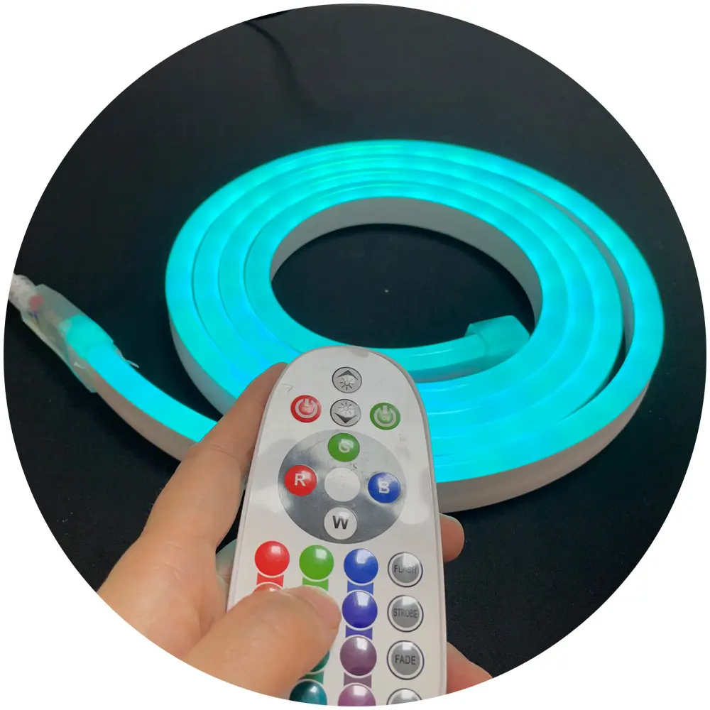 100m roll 10x20mm RGB AC220V AC110V 1M cuttable soft PVC neon strip ribbon led rope light for outdoor building