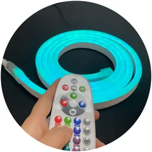 100m Roll 10x20mm RGB AC220V AC110V 1M Cuttable Soft PVC Neon Strip Ribbon Led Rope Light For Outdoor Building