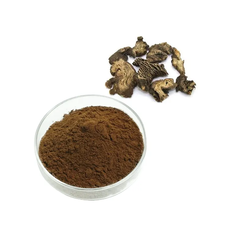 Estratto di radice di cohosh nero di alta qualità di prezzo all'ingrosso estratto di radice di Cimicifuga Racemosa