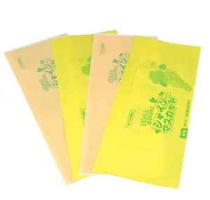 Fruit Growing Carbon Coated Paper Bag For Mango Fruit Mango grape guava Protection Kraft Paper Bag