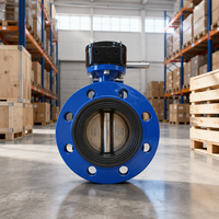 Katup Kupu-kupu Manual PN16 Berflens Ganda 8" dengan Penggerak Worm Gear/Lever/Chainwheel, Bodi DI/SS304, Seal EPDM/PTFE, untuk Media Air/Kimia