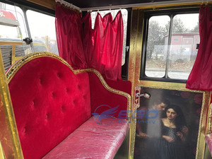 Auto Elettriche Cinesi, Carrozza Elettrica Reale per Turismo, Auto Elettriche Economiche - Product Image 5