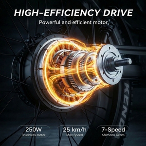 Bicicleta Cruiser MX10 con Cuadro de Acero, 48V 250W, Neumáticos Anchos Indexables, Horquilla Doble y Frenos Hidráulicos - Product Image 2