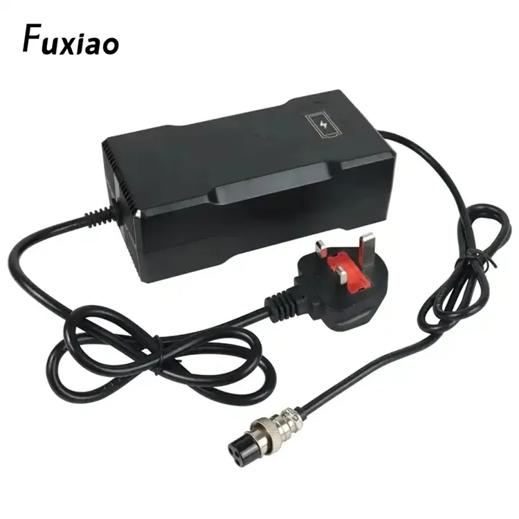 Fuxiao New Top Seller Charging Power Adapter for 12V 12.6V Lithium Battery Pack with 12.6V 10A