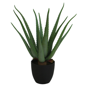 Plantas artificiales <span class=keywords><strong>de</strong></span> Aloe <span class=keywords><strong>Vera</strong></span> para decoración interior, recién llegadas, naturales, <span class=keywords><strong>de</strong></span> fábrica - Product Image 1