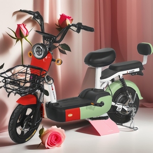 Vélo électrique rapide Vélos à charge électrique Vélo qui rend l'électricité Meilleur vélo électrique Dirt électrique pour adultes - Product Image 5