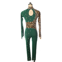 Costume de danse pour femmes, manches longues, dos nu, justaucorps de gymnastique, vêtements de performance, combinaison, vêtements, combinaison en velours à imprimé léopard