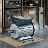 Moteurs AC personnalisables série JY 370W/550W/220V monophasés à 4 étages avec baril de fer horizontal/vertical