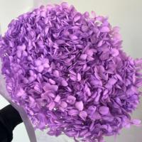 2026 Bunga Hydrangea Kering Paling Populer untuk Dekorasi Rumah Harga Pabrik Tahan Lama 3-5 Tahun Hari Ibu & Hari Valentine