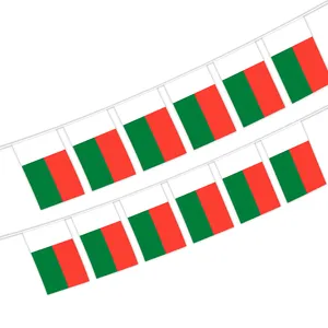 Wholesale 5.5x8 Inches Madagascar String buntinging Flags For Indoor And Outdoor Decoration(20pcs/set)