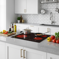 Kompor Listrik Multifungsi Built-In dengan 4 Tungku Permukaan Kaca Keramik & Timer untuk Penggunaan Rumah Tangga