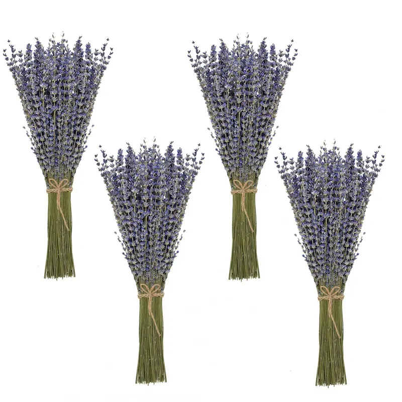 Composizione floreale fasci di lavanda essiccata fiori di lavanda secchi naturali al 100% per la decorazione domestica