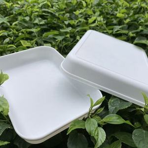 Bandeja de Recolección de Larvas de Mosquitos para la Cría de Larvas de Mosquitos para Colonias de Laboratorio - Product Image 6