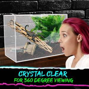 Özel sürüngen teraryum W/sürgülü manyetik kapı akrilik Terrarium Tarantula muhafaza akrilik kafes - Product Image 5