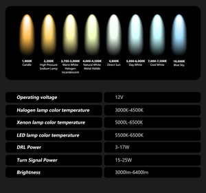 Ensemble de phares LED pour <span class=keywords><strong>BMW</strong></span> Série 5 G30 G31 2018-2023, double lentille de projecteur DRL, signal E-Mark, LHD, Plug and Play - Product Image 6