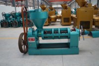 Nueva Prensa de Aceite en Frío Semiautomática YZYX120 de 270 Kg por Hora para Aceite de Sésamo, Semillas de Girasol, Mostaza, Soja y Cacahuete