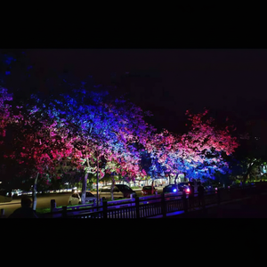 Lampe de teinture LED IP65 pour arbres de parcs d'attractions et décorations de célébrations hivernales - Product Image 1