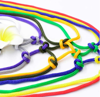 Cordon de serrage multicolore en polypropylène, corde en Polyester, 4mm, câbles tressés ajourés