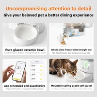 Nouvelle Fontaine à Eau et Distributeur Automatique de Nourriture pour Chat en Céramique et Acier, Détachable et Personnalisable, Fournitures d'Alimentation pour Animaux de Compagnie