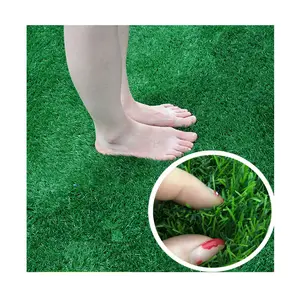 Sample Free Cheap Garden Artificial Synthetic Turf Grass Carpet