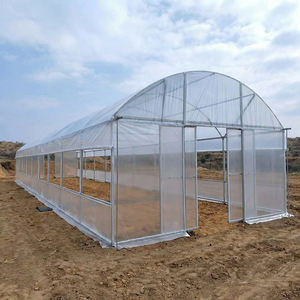 Serre <span class=keywords><strong>tunnel</strong></span> agricole en film plastique PE à simple travée OEM pour la culture de <span class=keywords><strong>tomates</strong></span> - Product Image 4