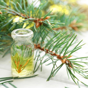 Großhandel 100% Reines Organisches Tannennadel-Ätherisches Öl Gut für Hautpflege Aromatherapie Körperpflege-Öl Bulk Ätherisches Öl - Product Image 3