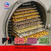 Vriesdroogmachines voor aardbeien, lyofilisatie, fruitvriesdroging, lyofilisatiemachine, fruitmachine, lyofilisator