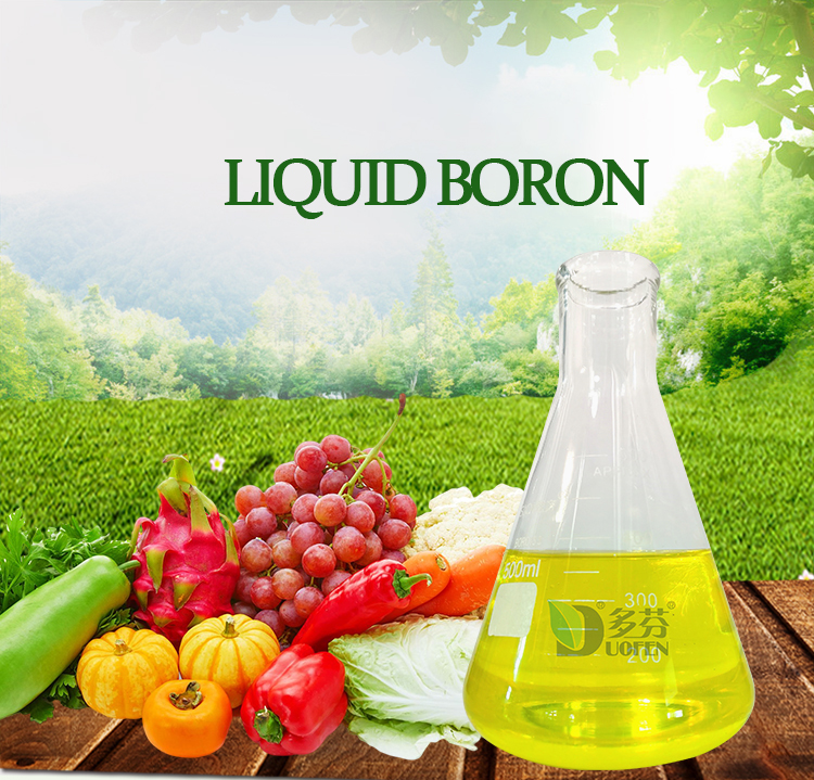 Liquid Boron Fertilizer for Flowering & Fruiting Crops OEM image 6