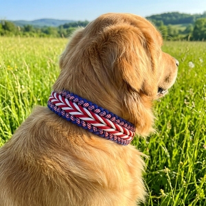 Set Guinzaglio e Collare per <span class=keywords><strong>Cani</strong></span> Artigianale in Paracord 550, Largo Intrecciato con Motivo Patriottico USA, Resistente per <span class=keywords><strong>Cani</strong></span> di Taglia Grande - Product Image 2
