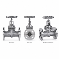 Válvula de Globo J41W CF8 PN100 con Brida para Petróleo y Gas, Válvula de Globo Industrial con Brida, Válvula de Control de Flujo para Tuberías de Petróleo y Gas