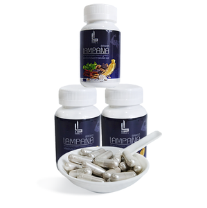 Thailand LAMPANA Male Energy Capsules (30 <b>Pills</b>): Natural Herbal Supplement for Men's Health - Product Image 3
