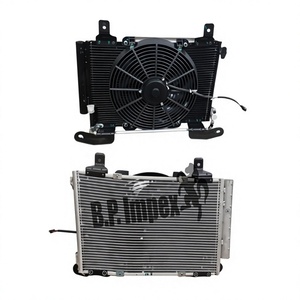 Fit For TATA Xenon 2.2L Condenser Complete OEM 289483400147 Auto AC Parts Air Conditioning Radiator Assy - Product Image 1