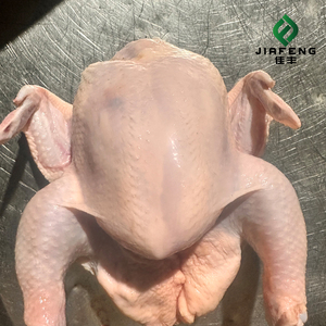 <span class=keywords><strong>Pollo</strong></span> Halal, las Comidas Maestros Comienzan Aquí - Product Image 3