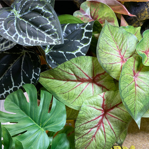 Plantes artificielles décoratives pour terrariums de reptiles, aquariums de tortues, enclos pour lézards et serpents. - Product Image 1