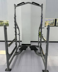 כושר ספורט מסחרי איכות גבוהה ספורט ספורט ספקים ציוד משקל הרמת גוף בניית מתלה - Product Image 2