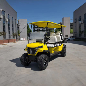 Carritos de Golf Eléctricos Chinos de un Solo Asiento a Precios Económicos, Carro Buggy en Venta, Batería de Litio de 48 Voltios, Carro de Golf para 1 Persona - Product Image 1