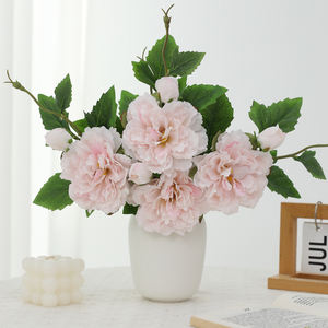 Premium a doppia testa radici di peonia colori vivaci fioriture lussuose per giardino ed eventi consegna rapida in magazzino - Product Image 6