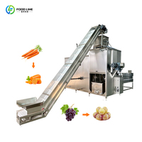 Industriële stoomschilmachine van 3-5 ton per uur, volautomatische aardappel- en wortelverwerkingslijn, continue stoomschiller