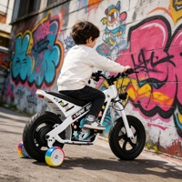 Motocicleta Eléctrica para Niños con Certificación CE, Batería de Litio, Motocross Eléctrica para Niños, Limitador de Velocidad de Seguridad, Motocross Eléctrica Deportiva para Exteriores